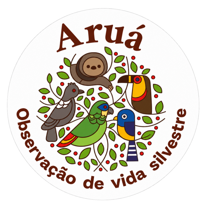 Aruá